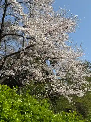 武蔵一宮氷川神社の{uncategorized: "未分類", other: "その他", undefined: "問題あり", building: "その他建物", grave: "お墓", sacred_gate: "鳥居", guardian: "狛犬", statue: "像", buddha: "仏像", history: "歴史", nature: "自然", garden: "庭園", animal: "動物", pagoda: "塔", temizu: "手水舎", mountain_gate: "山門・神門", sanctuary: "本殿・本堂", subordinate: "末社・摂社", art: "芸術", scenery: "景色", jizo: "地蔵", ema: "絵馬", goshuin: "御朱印", omikuji: "おみくじ", items: "授与品その他", amulet: "お守り", goshuincho: "御朱印帳", eats: "食事", festival: "お祭り", votive_dance: "神楽", shichigosan: "七五三参", wedding: "結婚式", experience: "体験その他", initially: "初詣", around: "周辺", anti_infection: "感染症対策"}