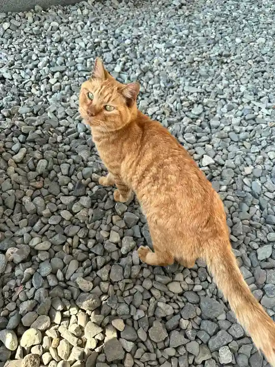 宝泉寺(神奈川県)