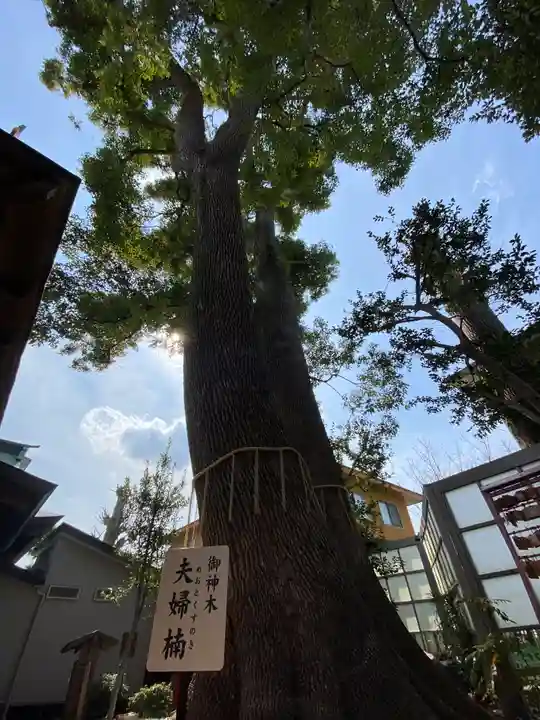 鳩ヶ谷氷川神社の自然