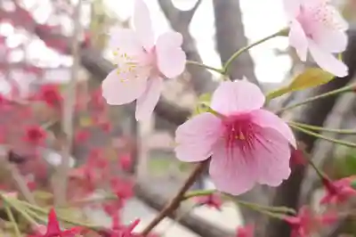 阿邪訶根神社(福島県)