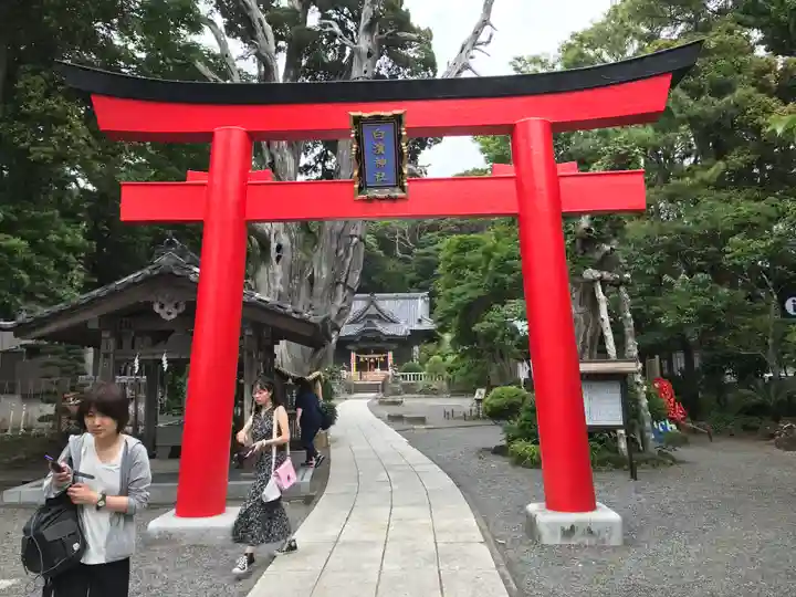 伊古奈比咩命神社の鳥居