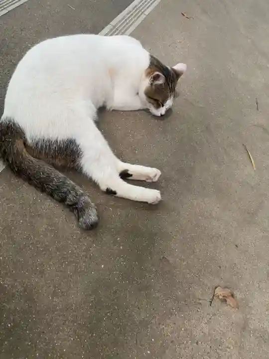 枚聞神社の御朱印