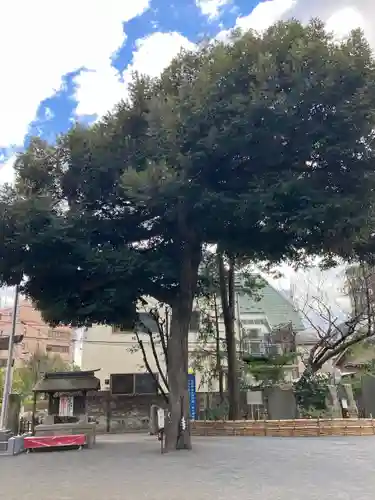 七社神社(東京都)