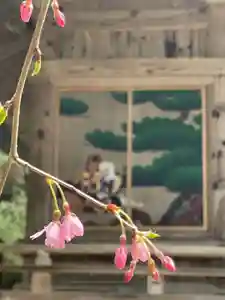 国上寺(新潟県)(2025年04月12日(土) 16時57分37秒投稿)