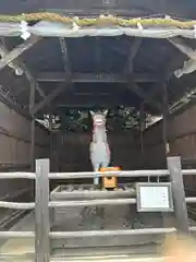 針綱神社(愛知県)