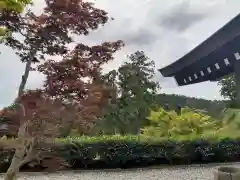 尊永寺の建物その他