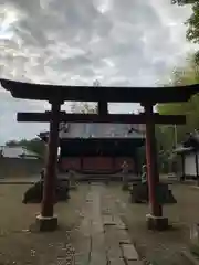 鷲宮大明神(埼玉県)