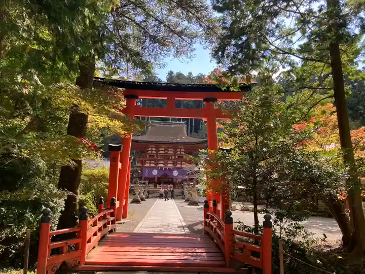 丹生都比売神社の鳥居