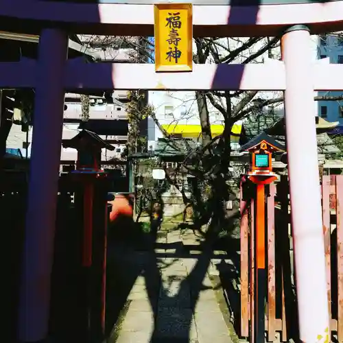 柳森神社の鳥居