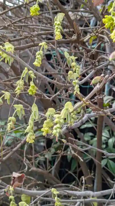 阿弥陀院(大阪府)