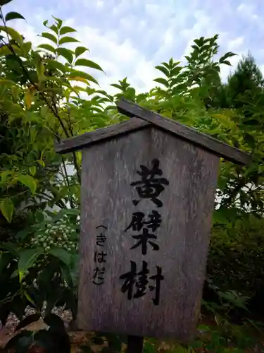 萬福寺(京都府)