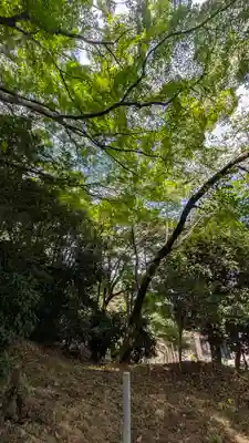 一様院(京都府)