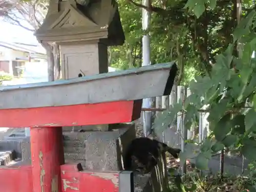 海南神社(神奈川県)