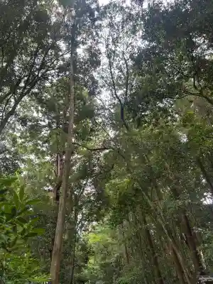 大神神社(奈良県)