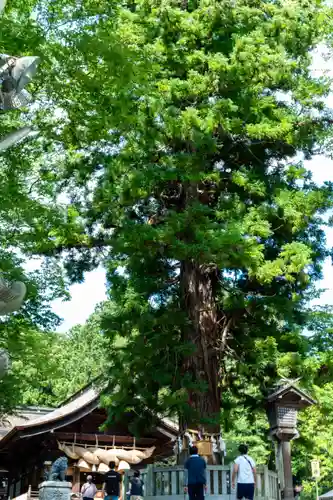 諏訪大社下社秋宮(長野県)