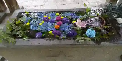 札幌護國神社の手水舎