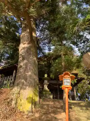 狐田稲荷神社(福島県)