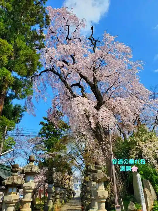 神炊館神社 ⁂奥州須賀川総鎮守⁂(福島県)