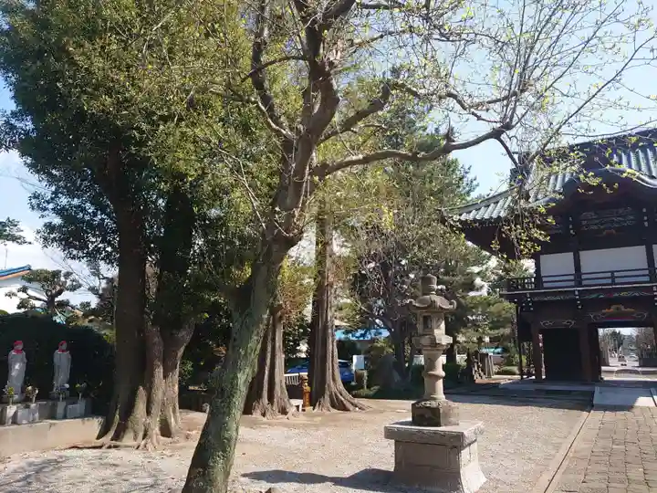 天増寺の山門・神門