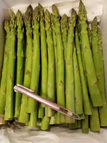 金王八幡宮(東京都)