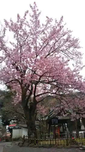 修禅寺の庭園