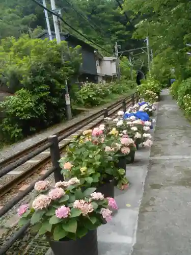 御霊神社の景色