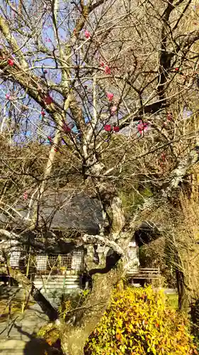 普濟寺の庭園