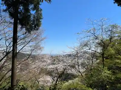 慈光寺(埼玉県)