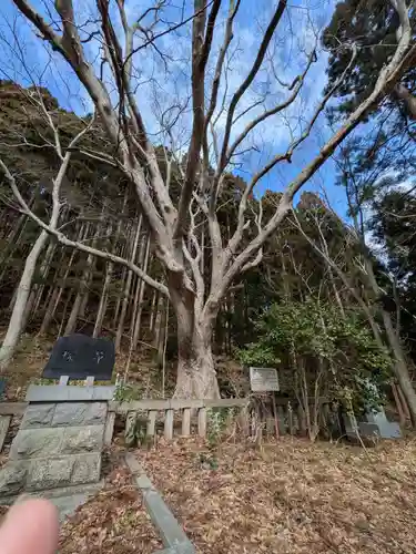 函館八幡宮(北海道)