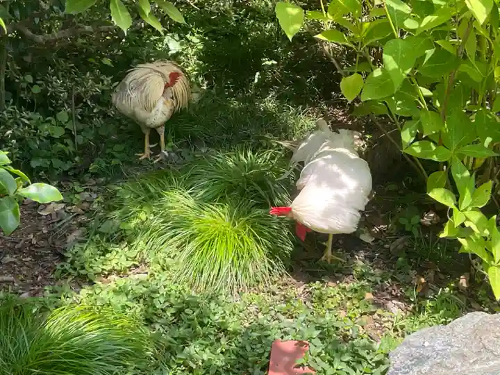 観音寺(京都府)