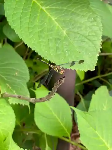 妻沼聖天山歓喜院(埼玉県)