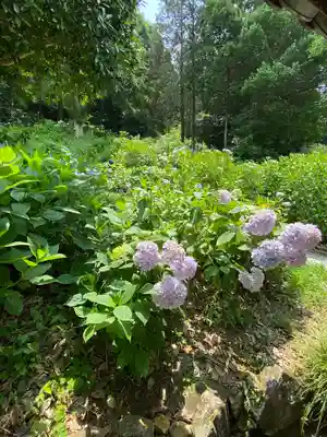 吉備津神社(岡山県)