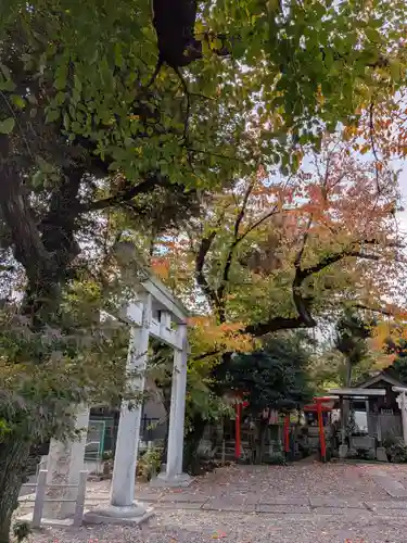 本郷氷川神社(東京都)
