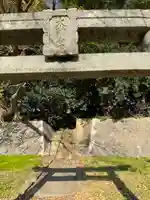 大宮皇神のその他建物