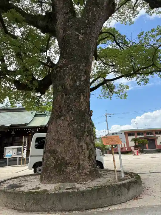 佐賀縣護國神社(佐賀県)