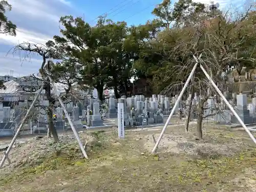 伊勢の国 四天王寺の自然