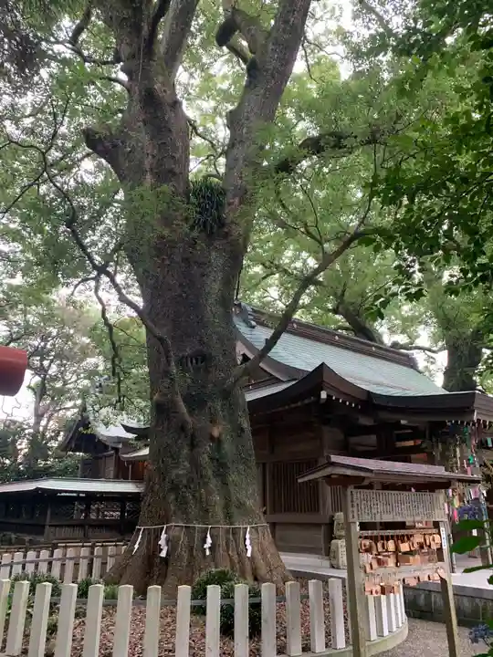 春日神社の自然