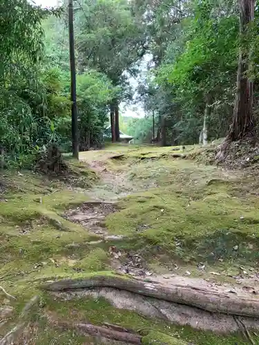 天御中主神社の自然