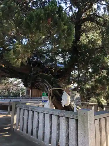 高砂神社の自然