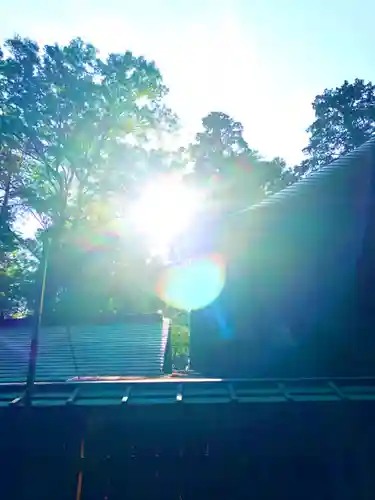 中村八幡宮(栃木県)