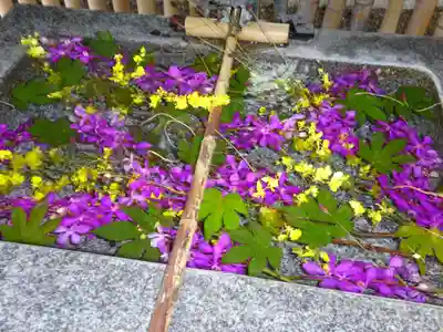 高円寺氷川神社の手水舎