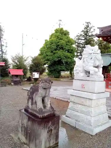 古尾谷八幡神社の狛犬