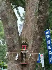 加藤神社(熊本県)