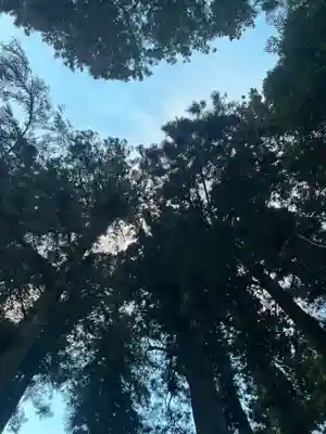 大宮温泉神社(栃木県)