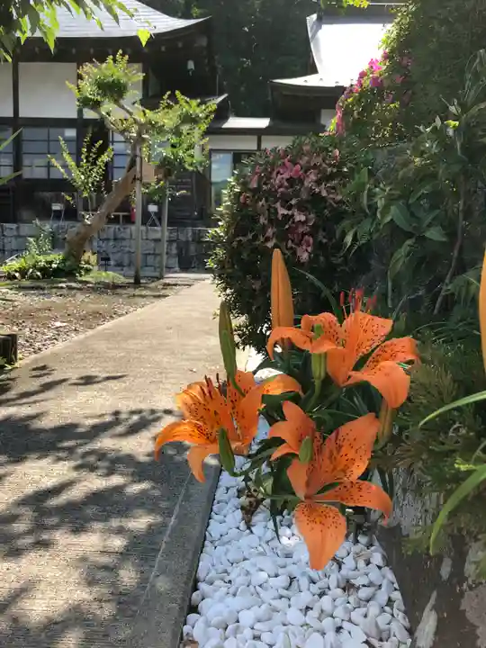 龍泰院のその他建物