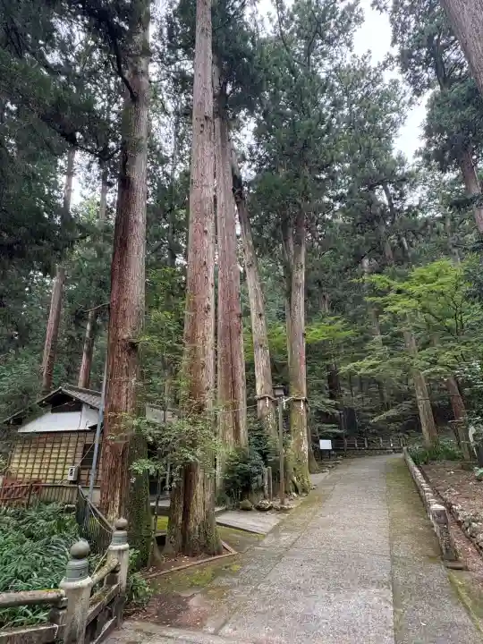 最乗寺(道了尊)(神奈川県)