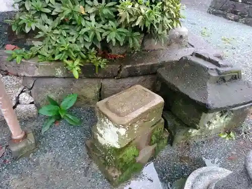 諏訪神社の狛犬