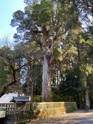霧島神宮(鹿児島県)