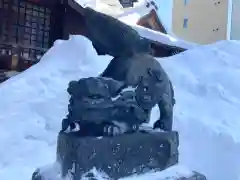 北海道神宮頓宮の狛犬