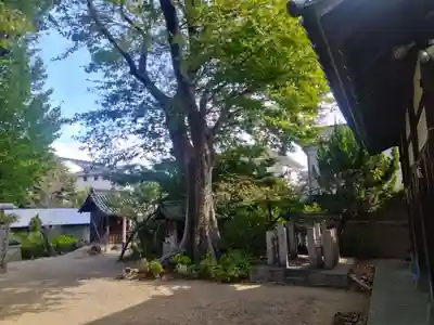 式内楯原神社(大阪府)